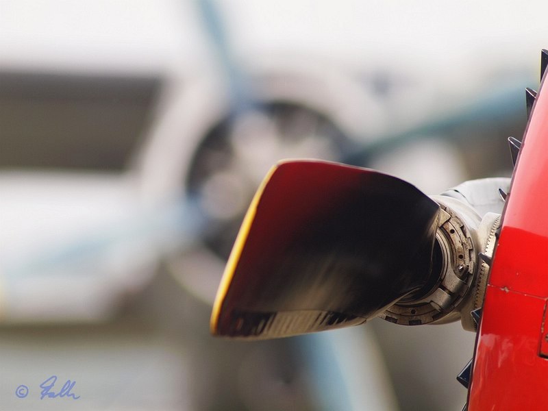 Yak-50 with An-2 in the background   © Falk 2014