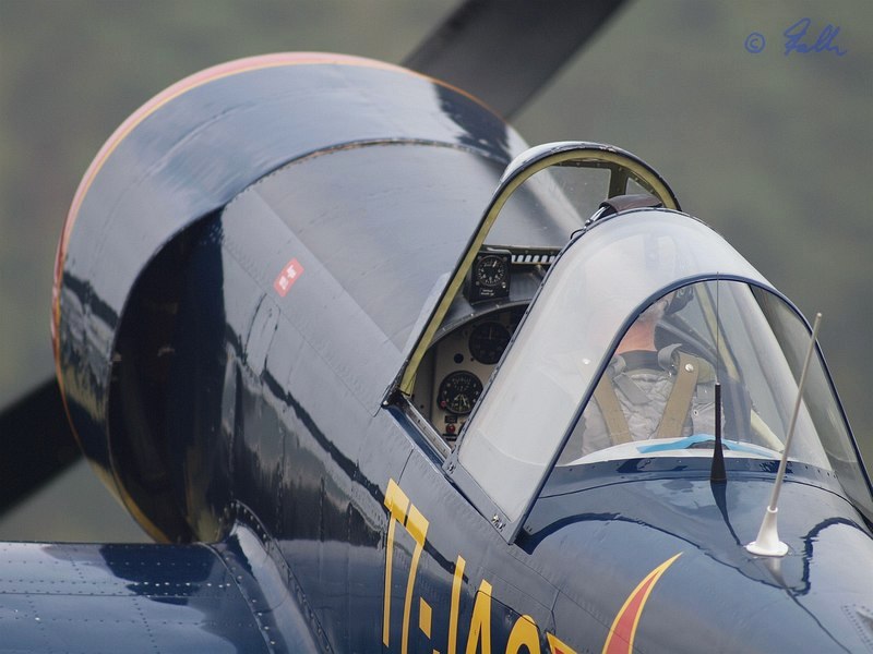 Yak-50   © Falk 2014