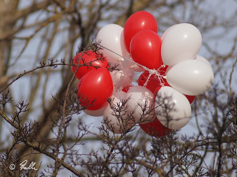 99 Luftballons   © Falk 2017