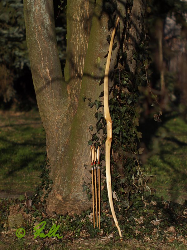 Maple Selfbow   ©   Falk 2015