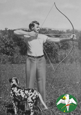 Russell Willcox with his famous Duoflex at full drawn. Note the working recurve! From ELMER (1952: f. 160)   © Falk 2008