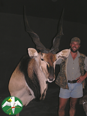 A very impressive Livingston Eland, done by Derek Robinson Taxidermy &nbsp;&nbsp; &copy; Falk 2005