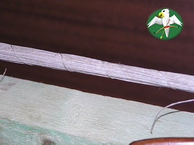 A temporary binding keeps all strands together, util the serving is completed. The thread is removed during the process.   © Falk 2007