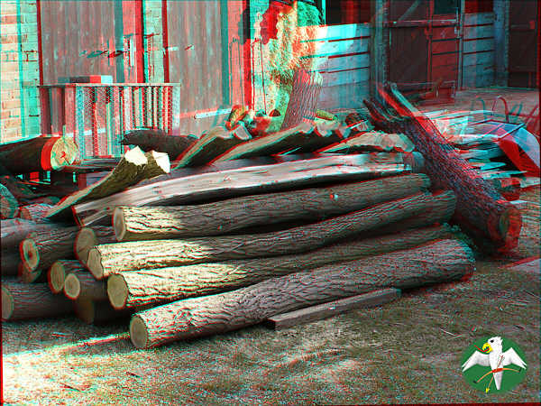 3D-photo [left=red, right=cyan], some fresh bow wood, Locust and Maple    © Falk 2007
