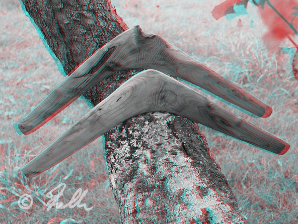 red-cyan Anaglyph of abo style natural knee returning Boomerang Pair, made from Black Locust      © Falk 2014